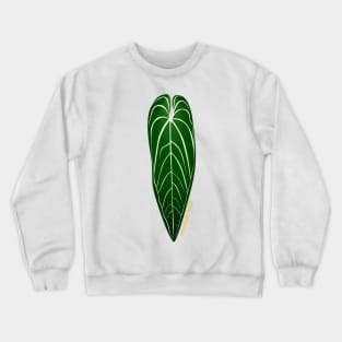 Anthurium warocqueanum | Houseplant Queen Crewneck Sweatshirt